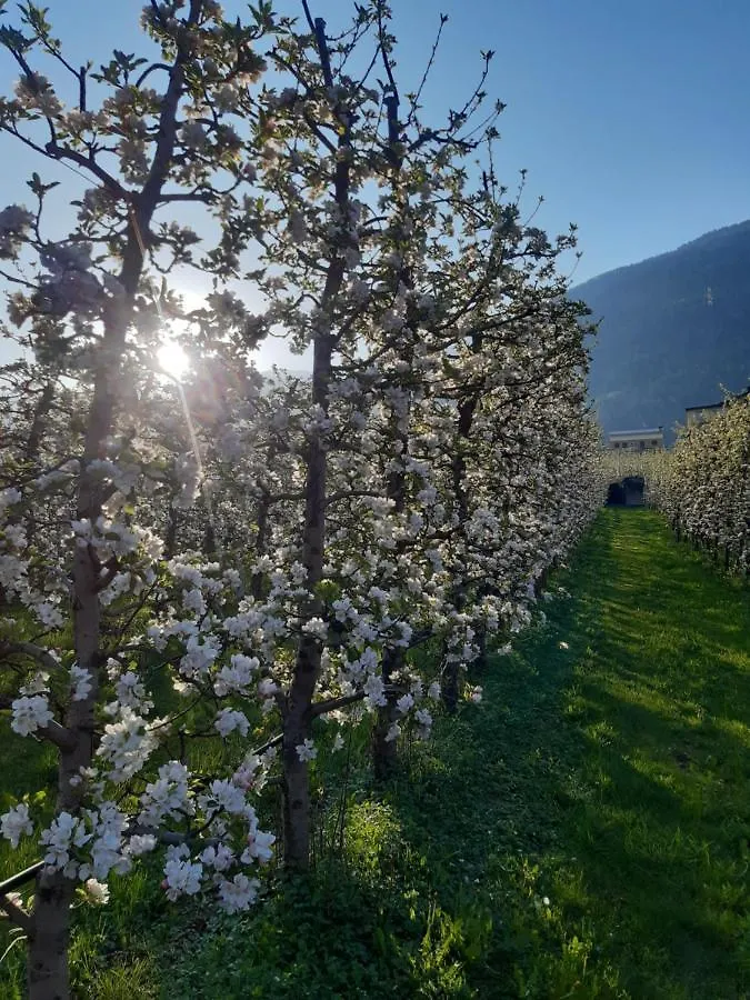 Κατάλυμα σε φάρμα Agriturismo Fiordimelo-Camere Tirano